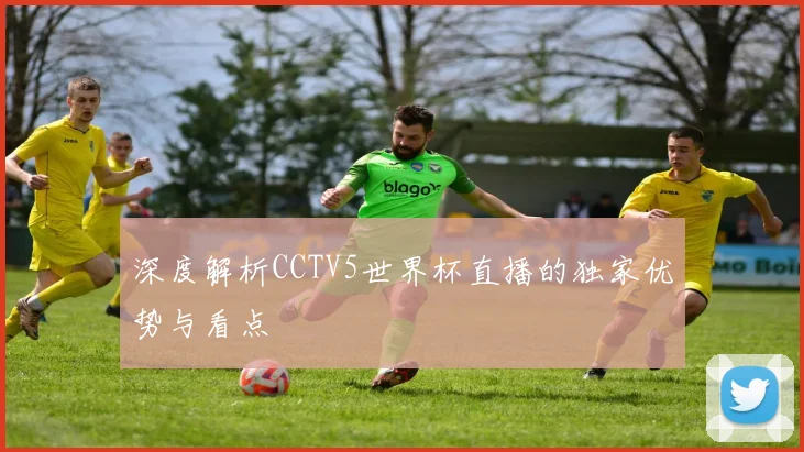 深度解析CCTV5世界杯直播的独家优势与看点