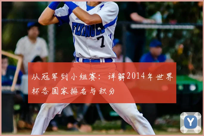 从冠军到小组赛：详解2014年世界杯各国家排名与积分