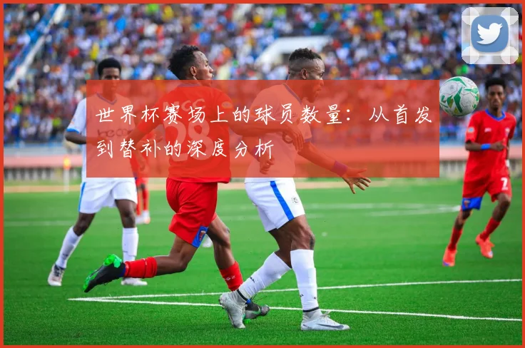世界杯赛场上的球员数量:从首发到替补的深度分析
