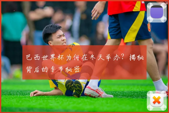 巴西世界杯为何在冬天举办?揭秘背后的季节秘密