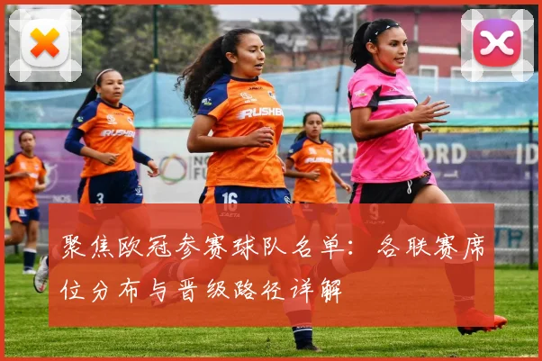 聚焦欧冠参赛球队名单：各联赛席位分布与晋级路径详解