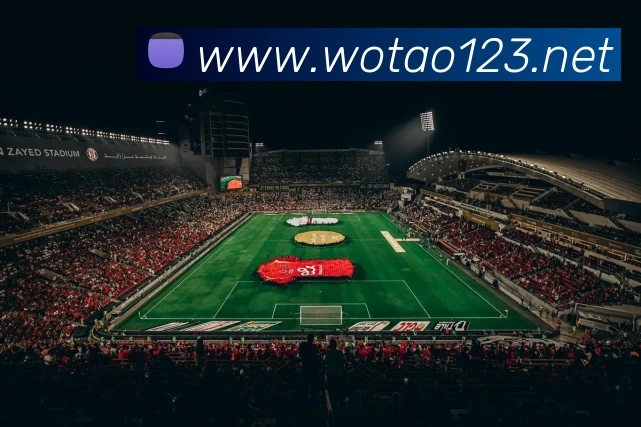 世界杯在线看球平台生态图